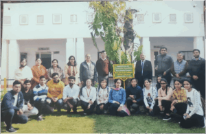 Economics Association adopted the Commerce Block Lawn