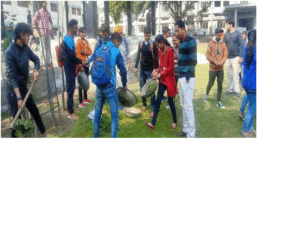 Cleanliness Drive of the College Play-Ground